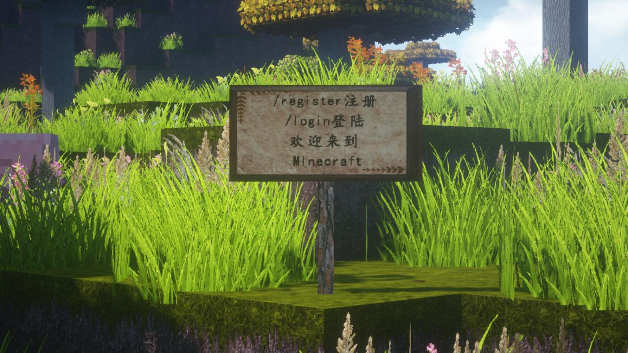 我的世界服务器玩家五条信息,我的世界关于服务器的知识