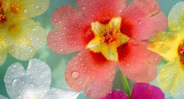 一个女公务员的感悟,如何做一名合格的基层女干部