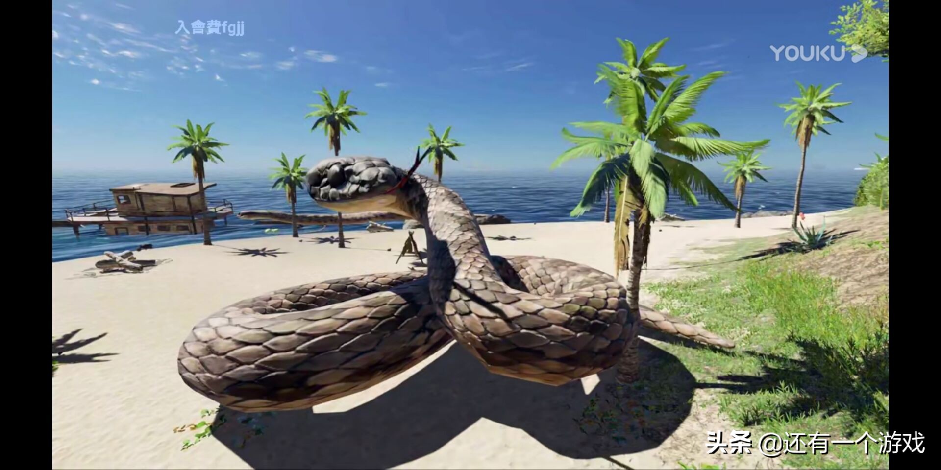 荒岛求生的沉船都有什么东西,荒岛求生小浪获得丰富资源