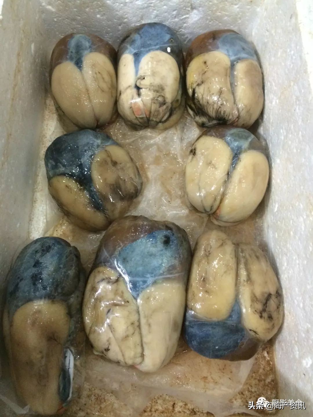 世界十大顶级海鲜品种,全球顶级海鲜食材大赏