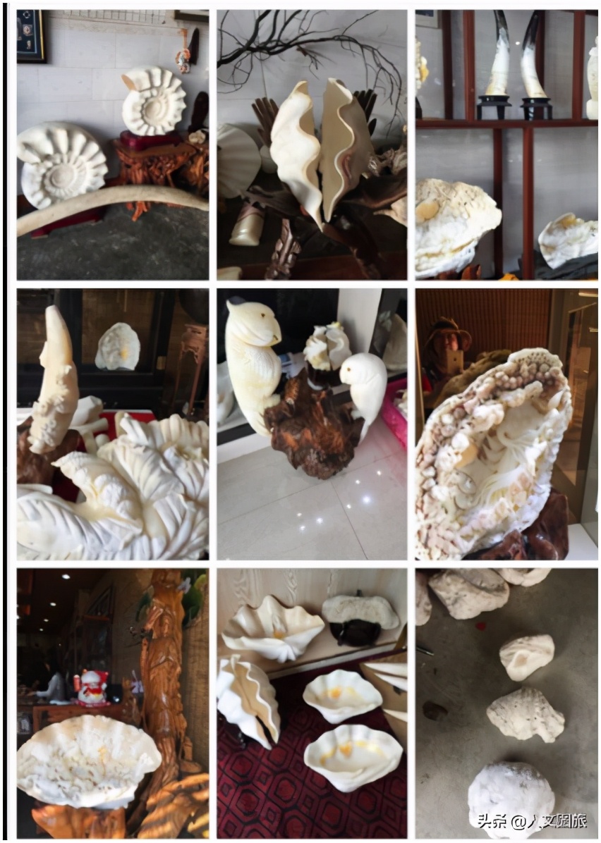 潭门博物馆镇馆之宝 (千年古港老潭门)