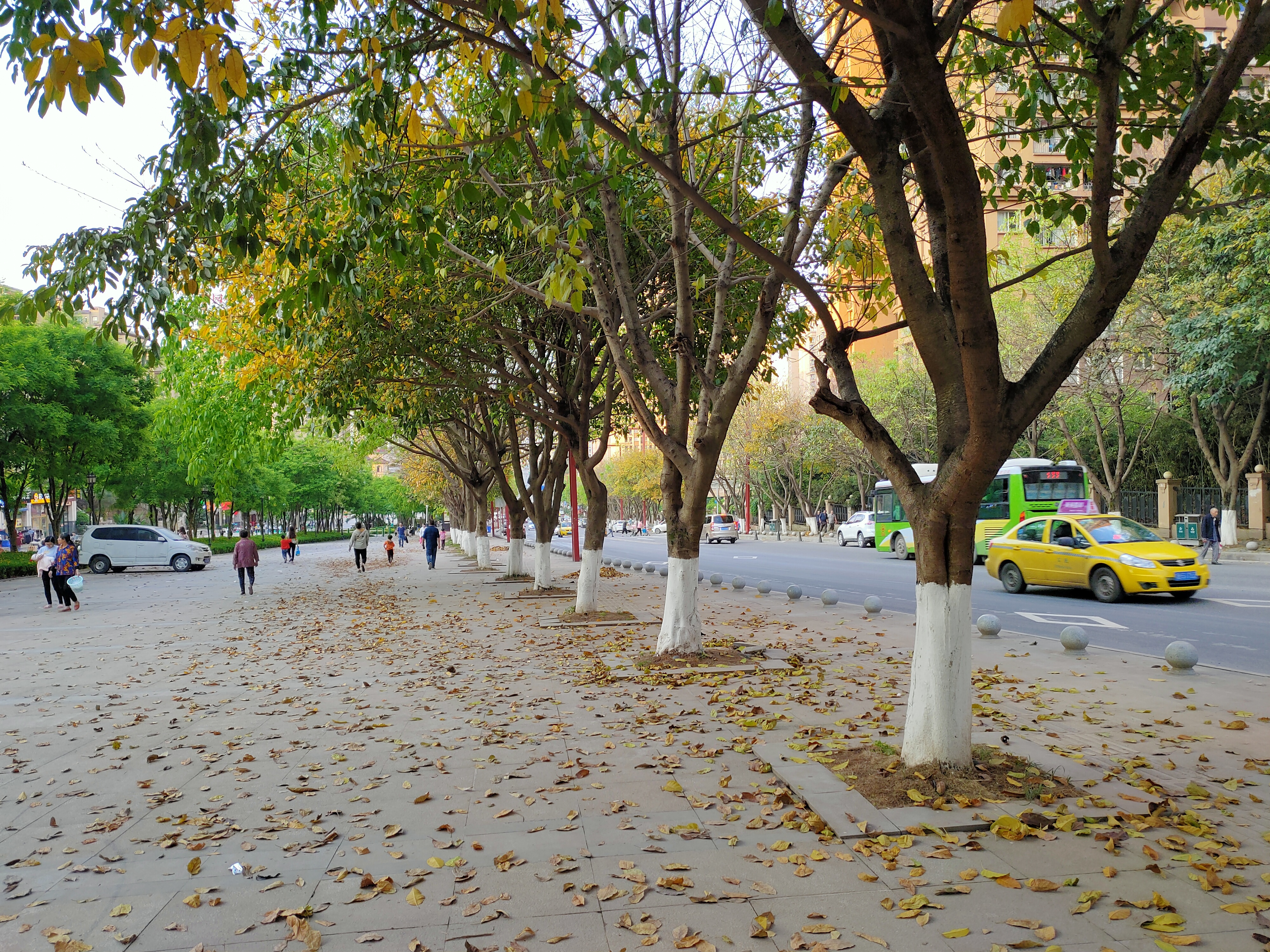 oppo不同价位性价比最高手机,opporeno2和opporeno2z哪个好