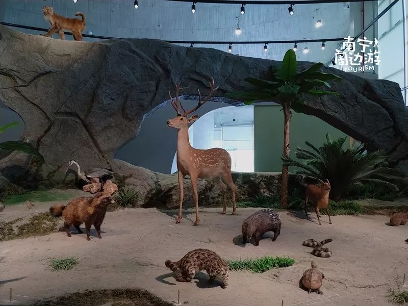 你有老铁,我有老友,有一种幸福叫南宁!