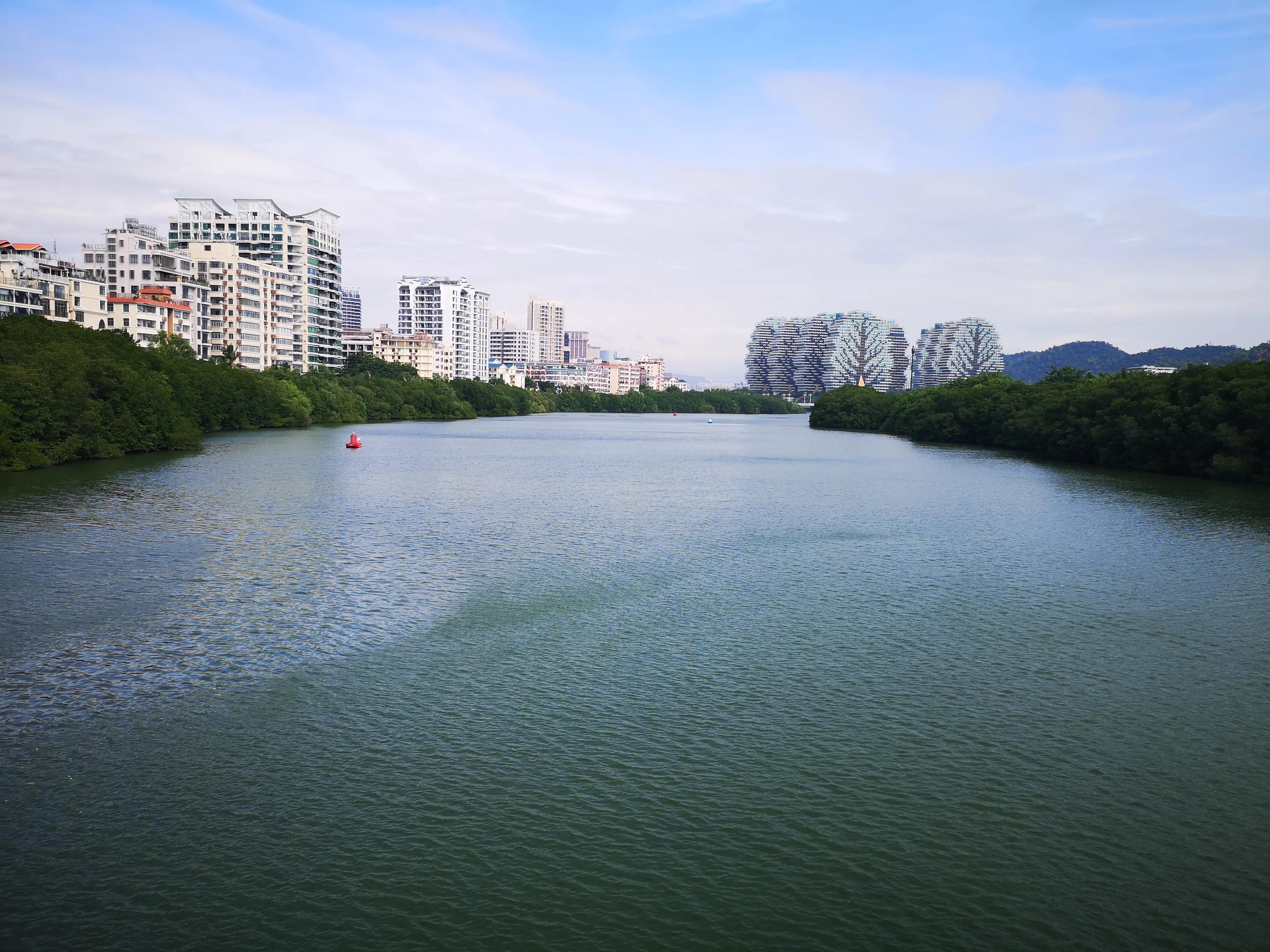 三亚红树林,神奇的亚马逊雨林