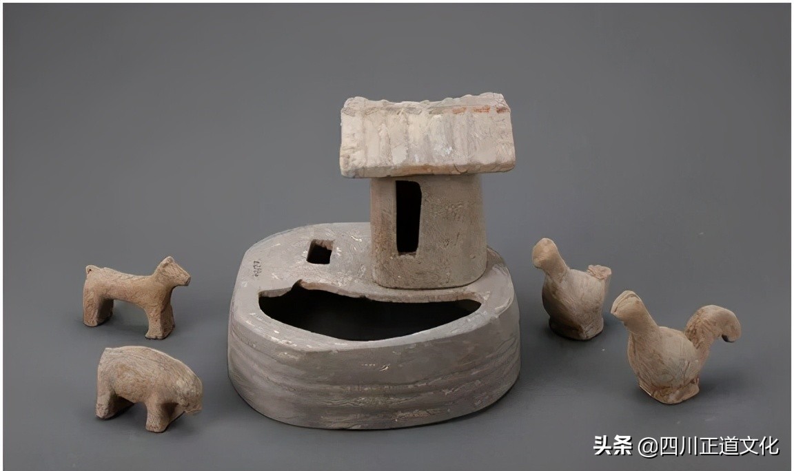 猫的故事,猫的故事视频