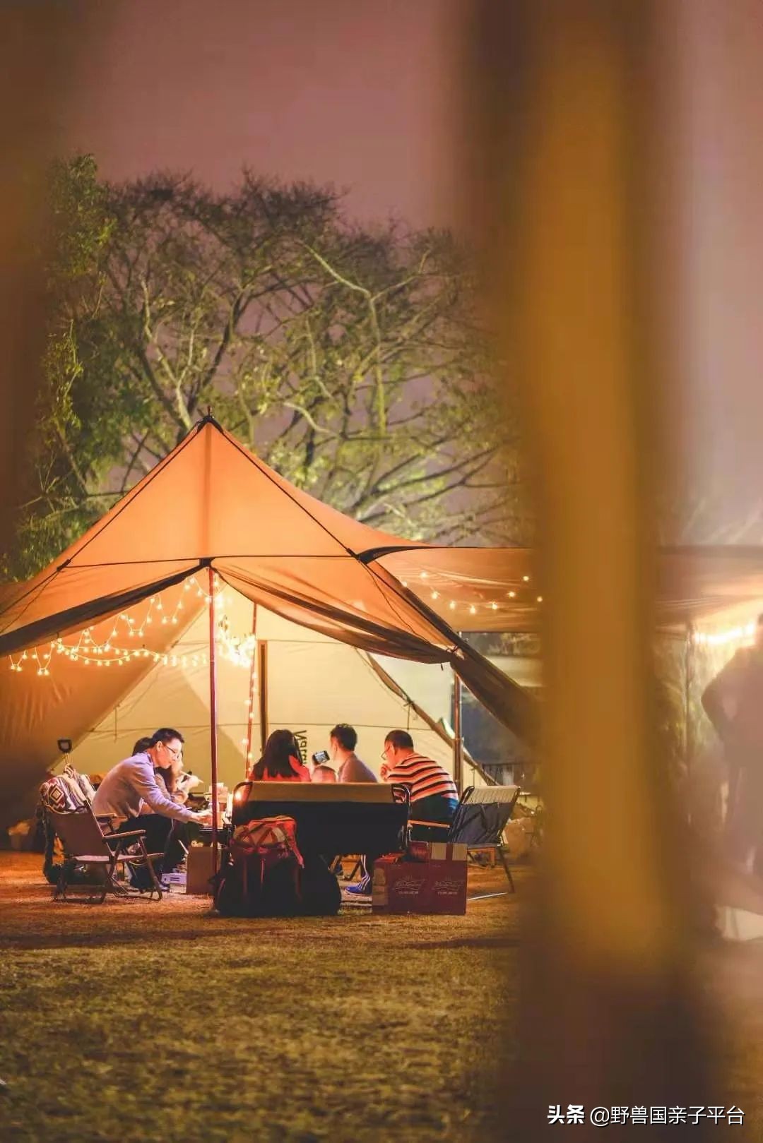 春游在即亲子露营攻略干货奉上,适合亲子的露营装备