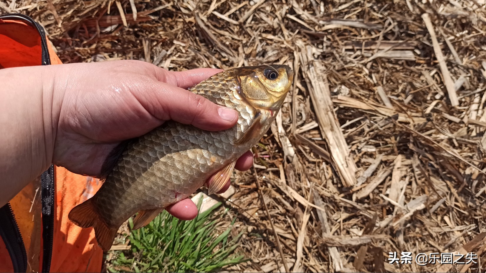 挂鱼饵钩尖的位置,挂鱼的钩子挂底了怎么办
