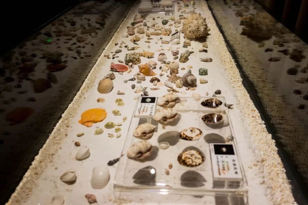 深圳二号线沿线有哪些景点游玩,深圳9号线沿途好玩的地方推荐