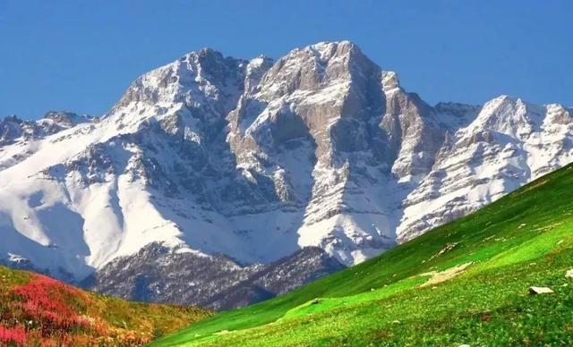 中国护照增值,中国护照升值潜力