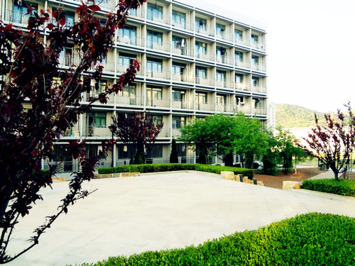 大连外国语大学3+1,大连外国语大学日常生活