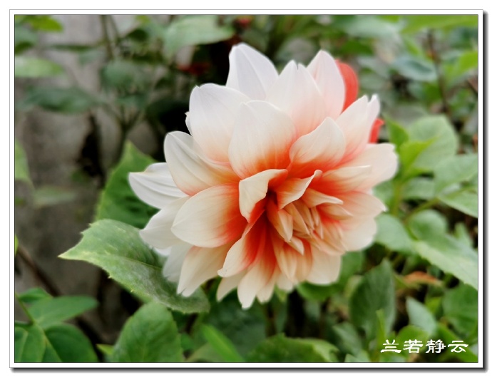 福建永泰云顶山风景图片,福州永泰云顶风景如画成避暑胜地