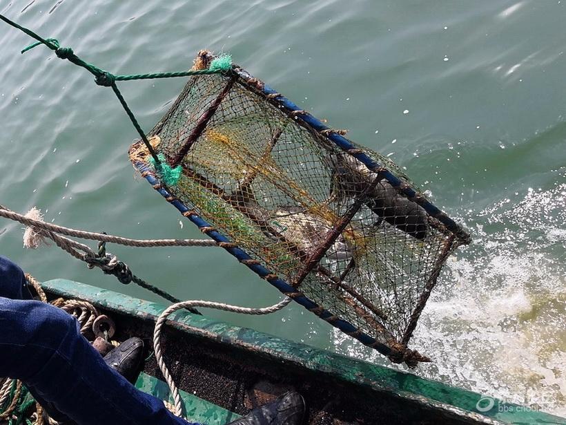奉化海鲜自助餐有没有帝王蟹,奉化海鲜餐推荐