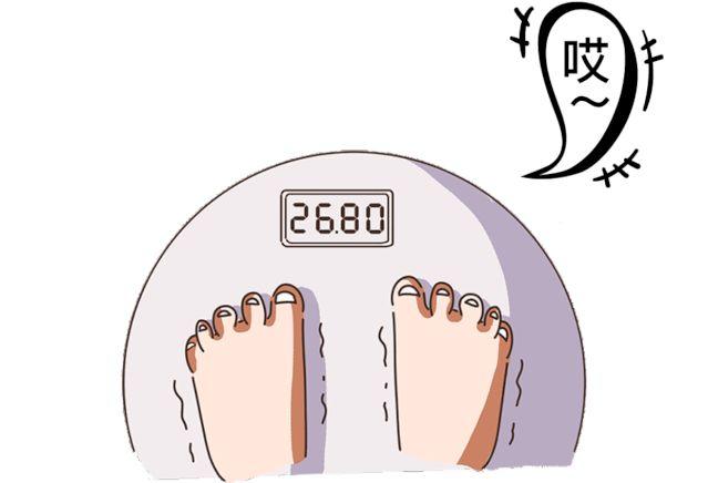 wildfieldhealth蛋白粉测评,wildfieldhealth蛋白粉