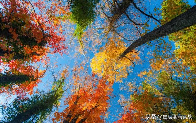 期货短线高手战法,期货高手的交易思路独白