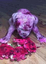 鎼炵瑧gif鎴戠煡閬撲綘鏄釜濡瑰瓙,鎼炵瑧gif娈靛瓙濡瑰瓙浣犲お鐨簡