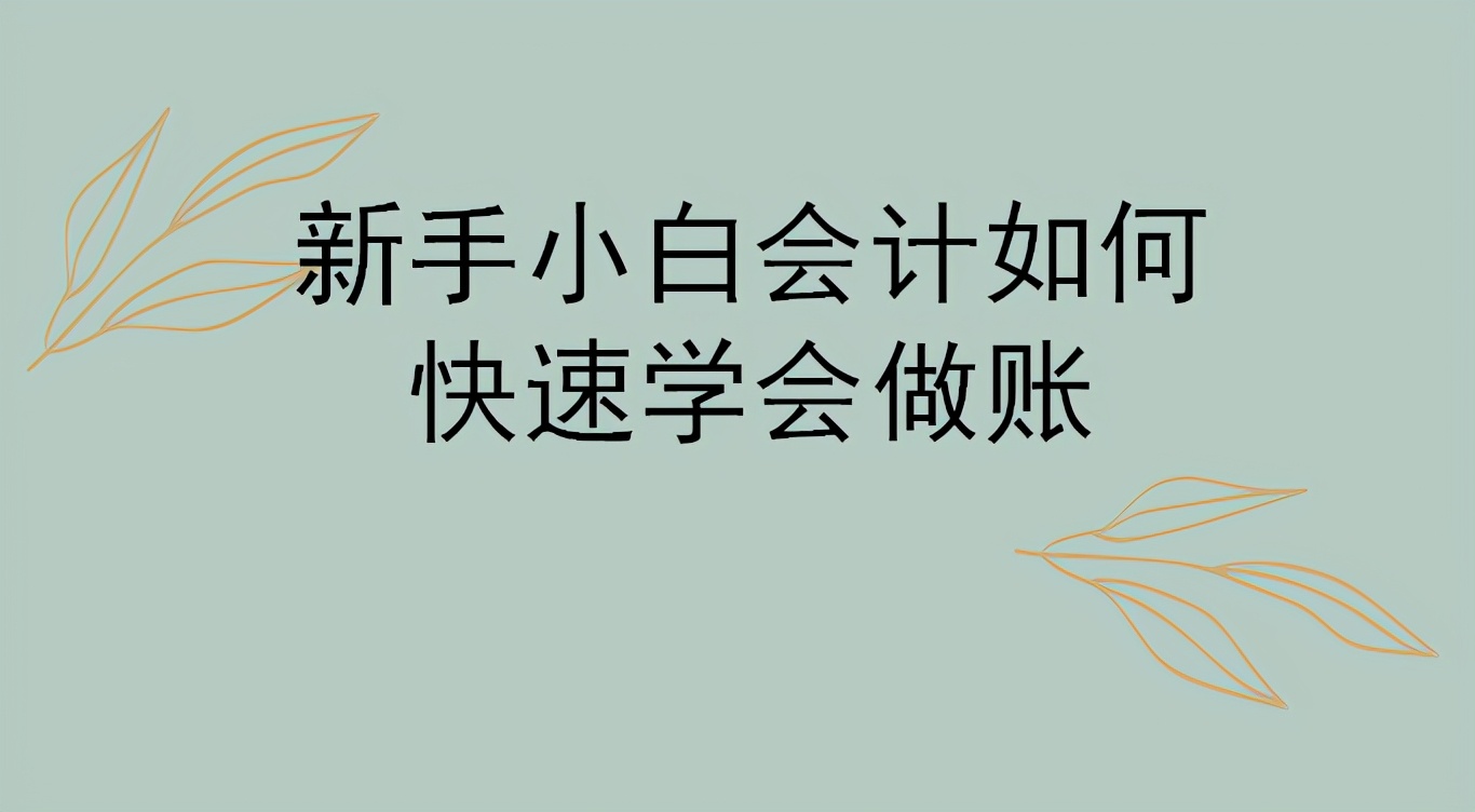 新手会计入门手把手教做账,新手小白会计如何快速学会做账