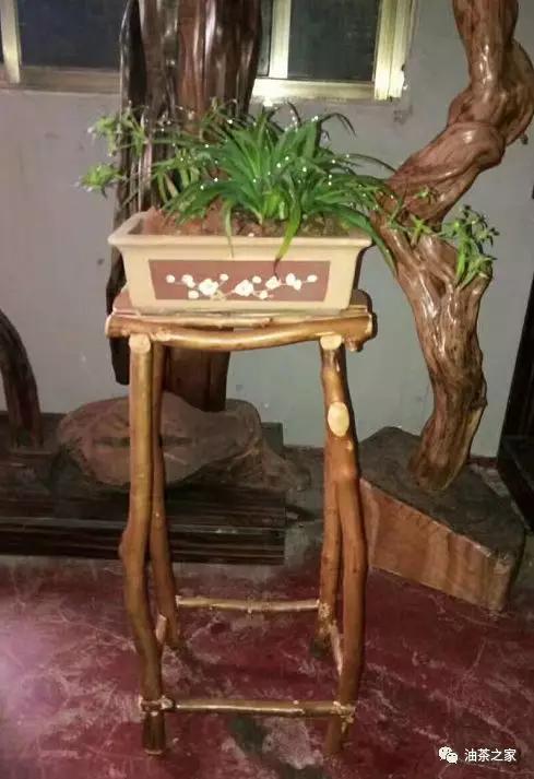 油茶木材怎样做家具,油茶树做家具怎么样