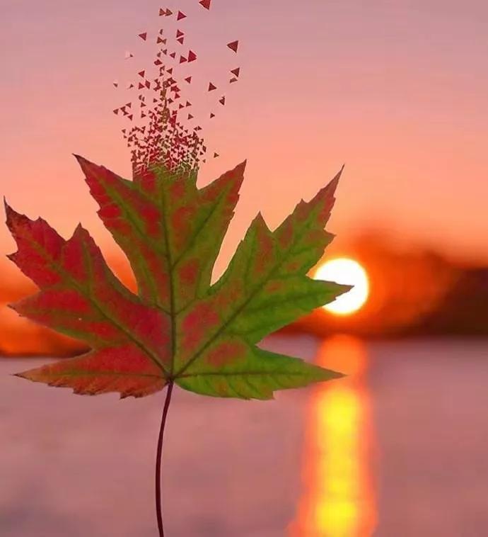 有一种好人比坏人更坏,为什么善良比恶更可怕