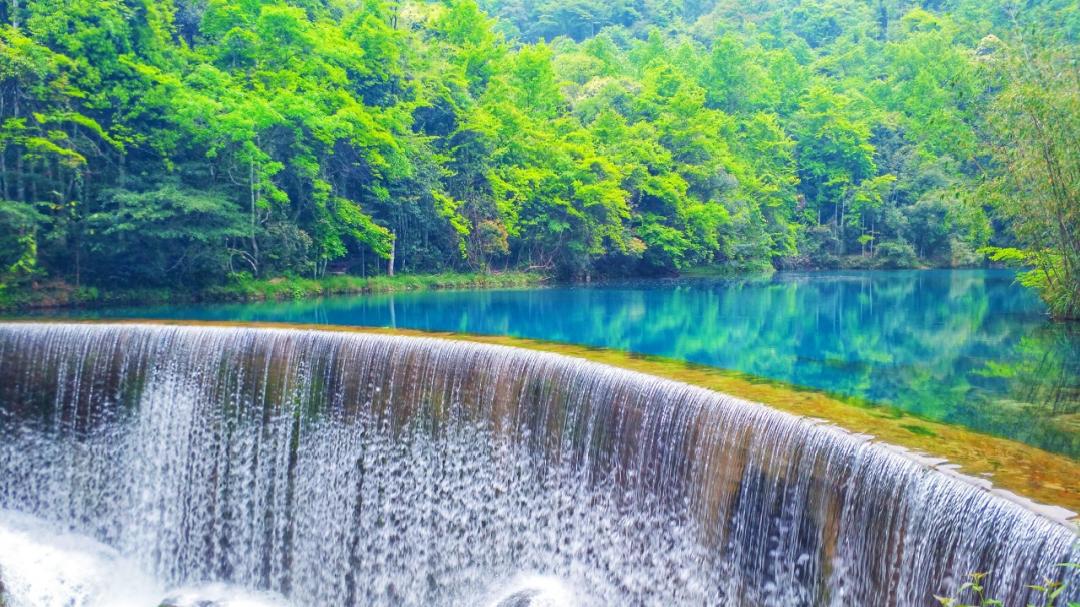 贵州这些景区有5折优惠免票活动,贵州省景区免票政策