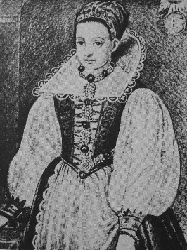 蝙蝠和吸血鬼的渊源,蝙蝠是怎么传播病毒