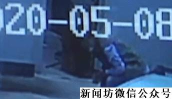 小伙一只宠物狗丢失,一男子2万元买了一只宠物犬