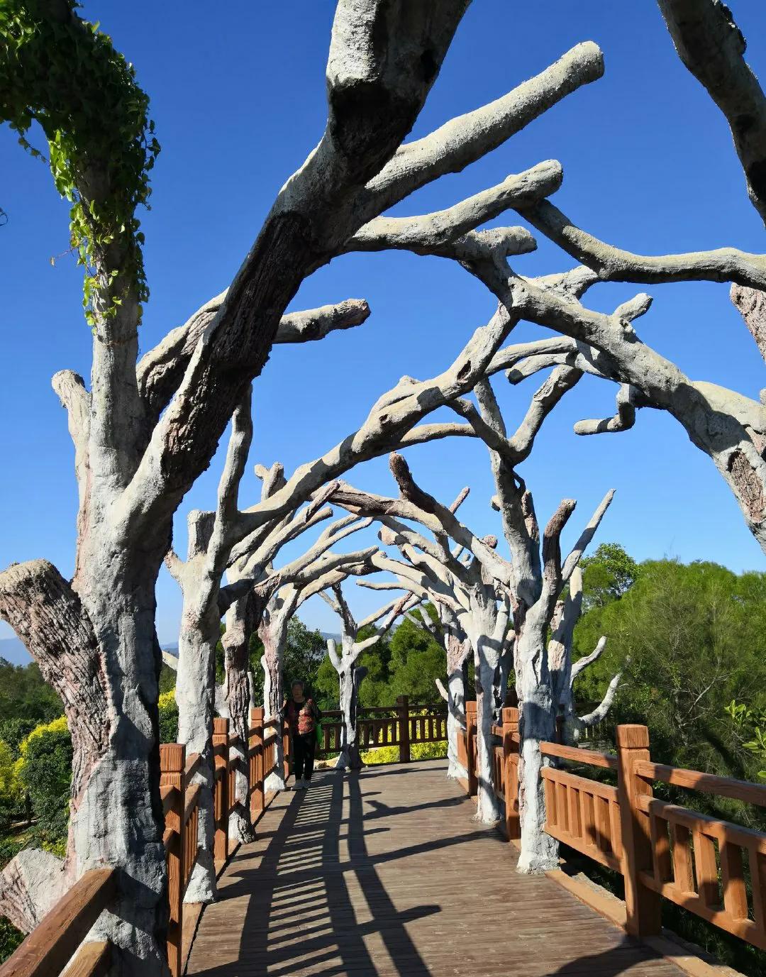 厦门香山有什么风景,厦门翔安必去8个景点香山