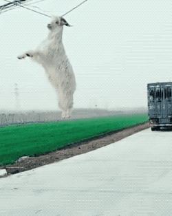 12岁男孩弑母案女孩讲述杀母过程,12岁男孩杀女童后续