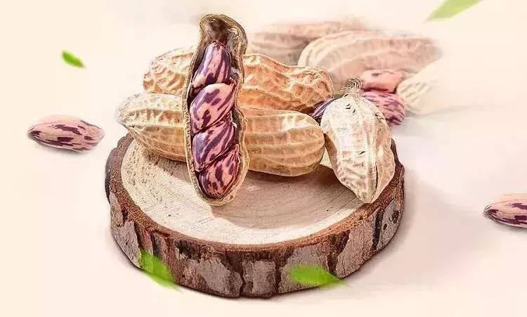 七彩花生种植基地图片,七彩花生和五彩花生区别