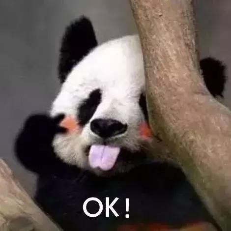 2020宁夏一日游旅游景点推荐,银川一日游最佳地方宁夏海洋公园