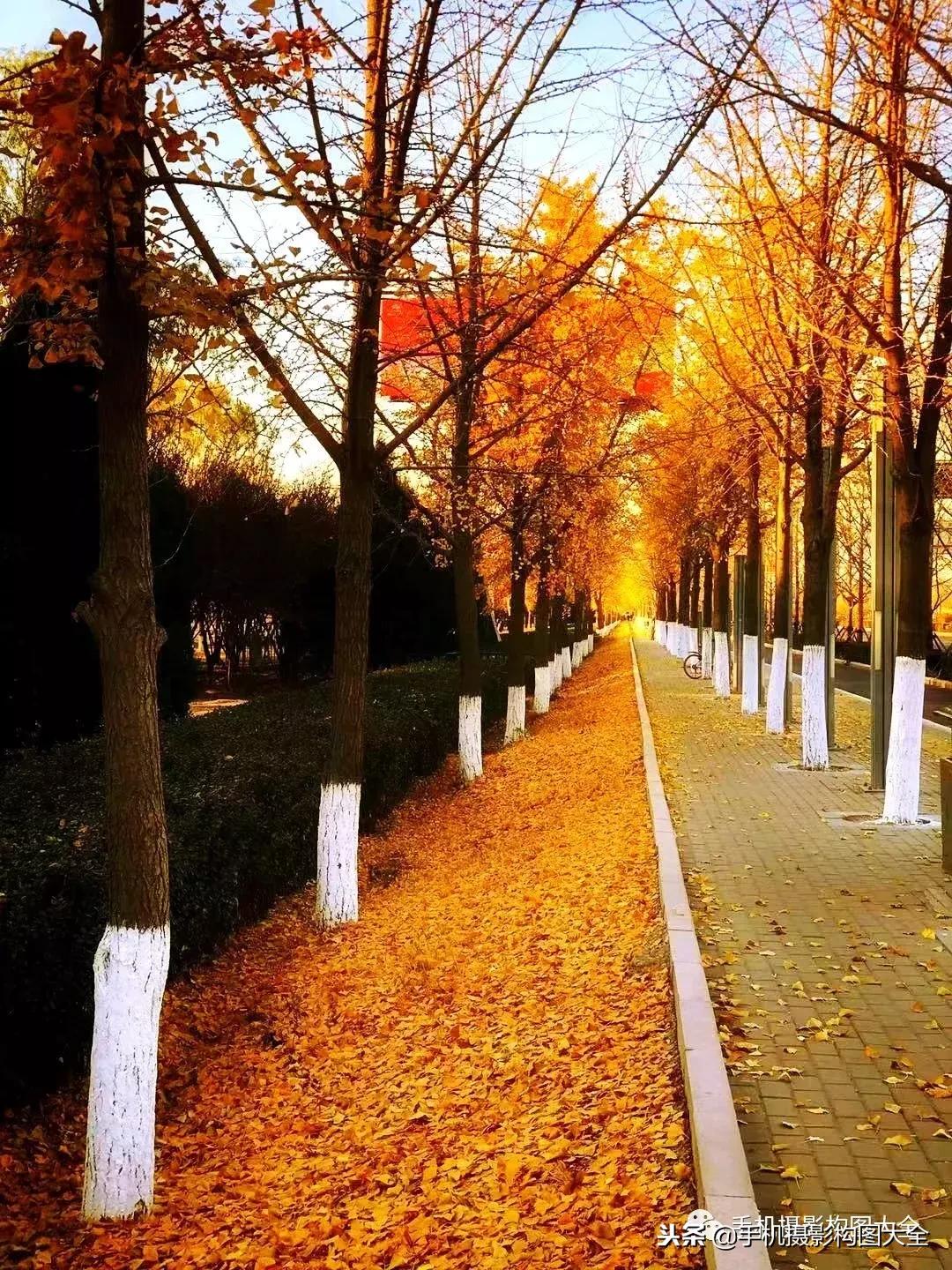 手机摄影怎么拍出好看的景色,手机如何拍出低调的摄影照片