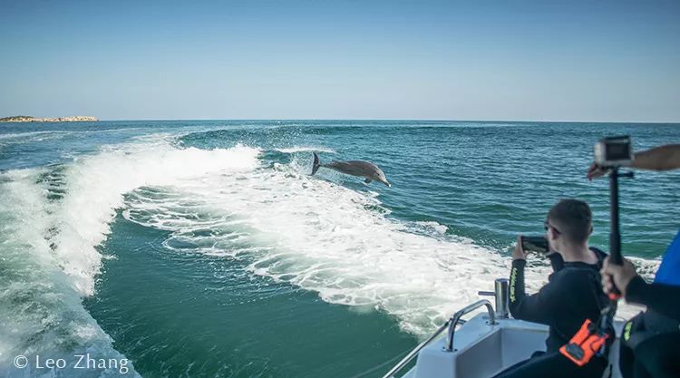 章子怡西澳,西澳大利亚十大挑战视频