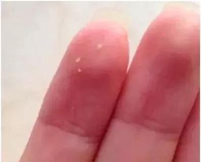 贵眼霜和便宜眼霜的区别,科颜氏牛油果眼霜贵吗