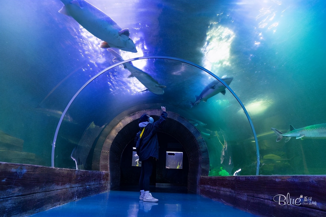 从漠河自驾到抚远镇,漠河至丹东自驾g331攻略