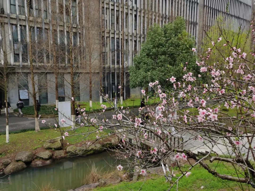 杭州美职学校风景,杭州美丽学校评选