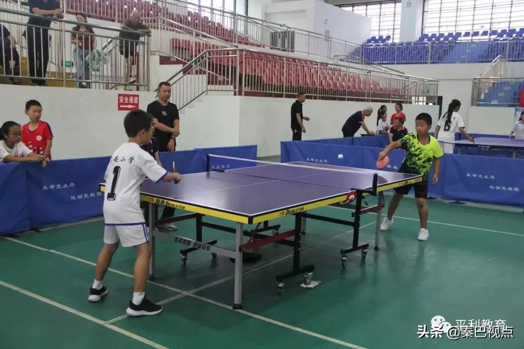 平利县第三届球类运动会,平利县第二届中小学球类运动会