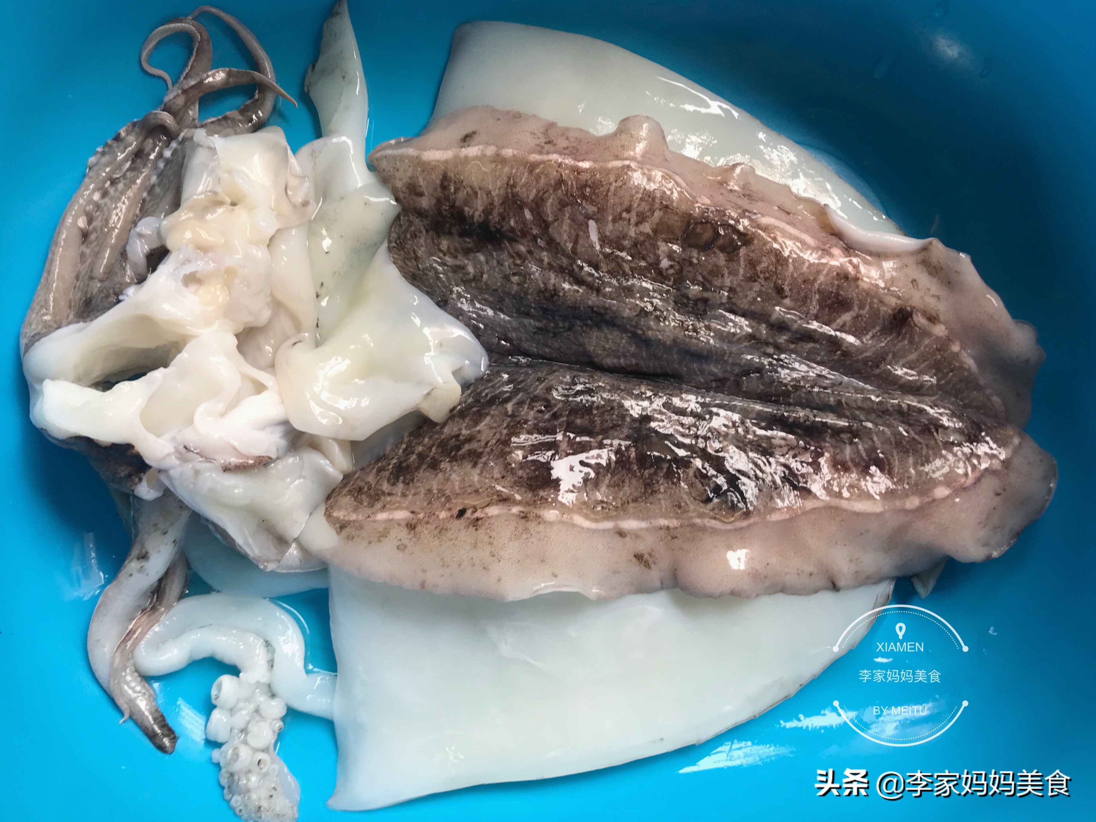 墨鱼鱿鱼和章鱼哪个营养价值最高,墨鱼与鱿鱼章鱼八爪鱼有什么区别