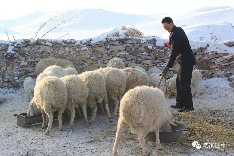 老家的印象和往事 (老家的印象介绍)