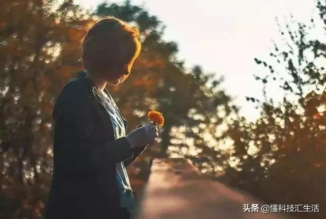 忙碌是治愈一切焦躁的良药,忙碌是治愈一切病态的良药