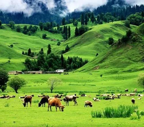 阿根廷图片超清无水印图片,阿根廷最美照片