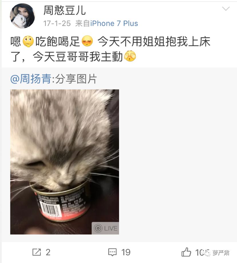 八年恋情因为彩礼分手,八年恋爱因同门分手