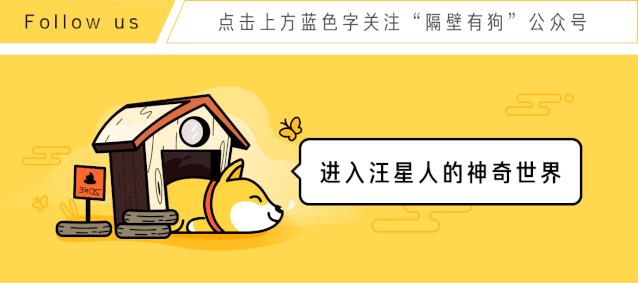 给狗起名字侵权吗,给狗起了一个字名字