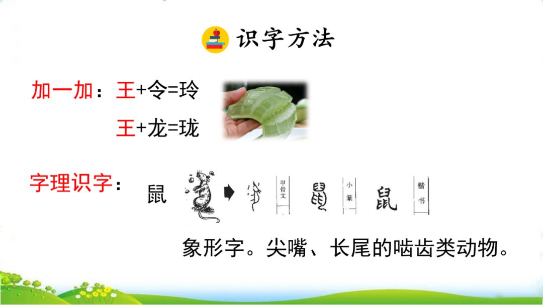 五年级语文第17课松鼠讲解,五年级上册第17课松鼠教材详解