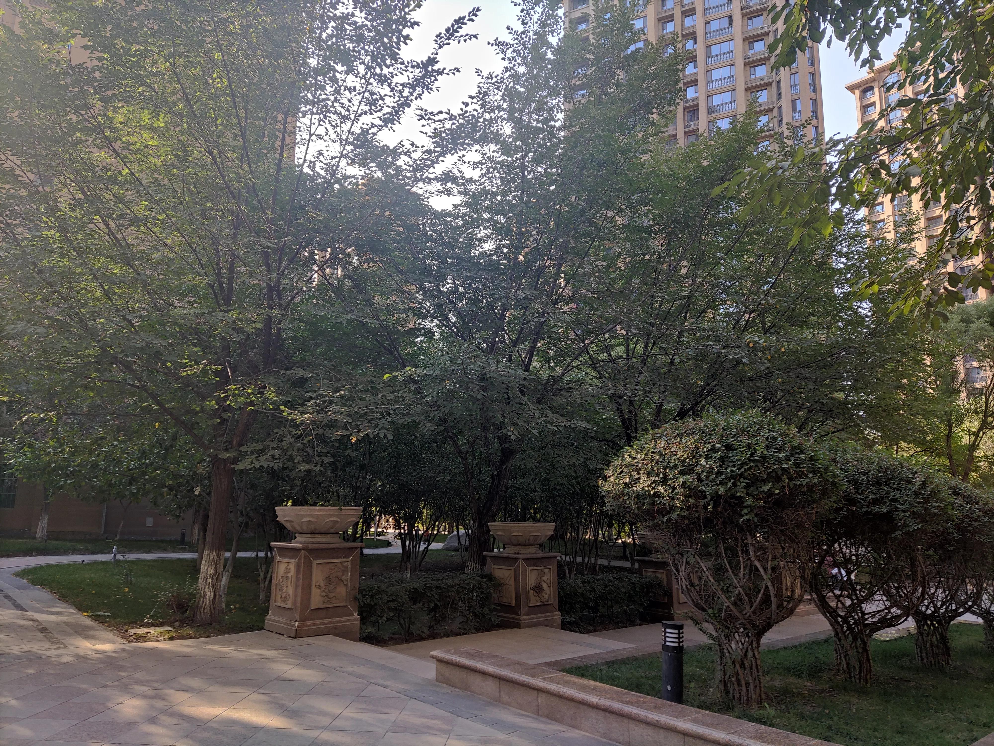 乌鲁木齐绿化最好楼盘,乌鲁木齐市绿化最好的街道视频