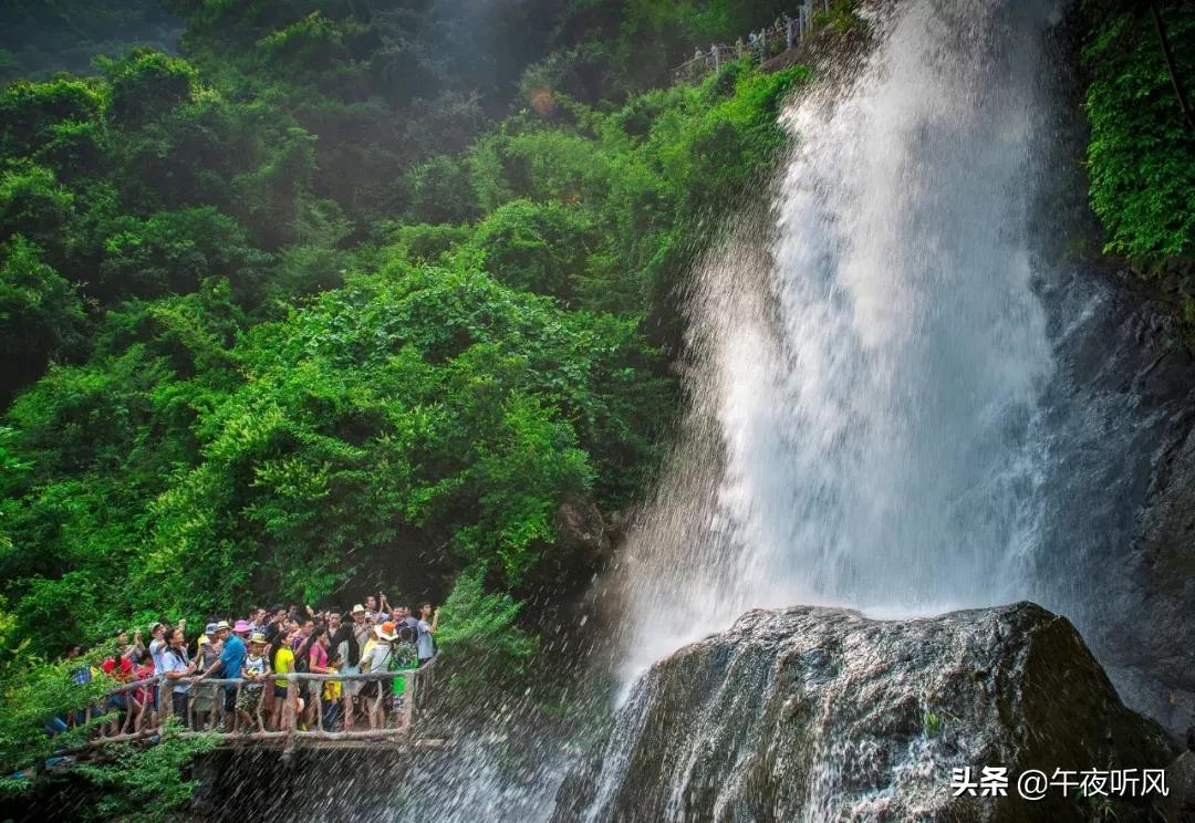 什么是麻精药品定义,什么是桃子女孩