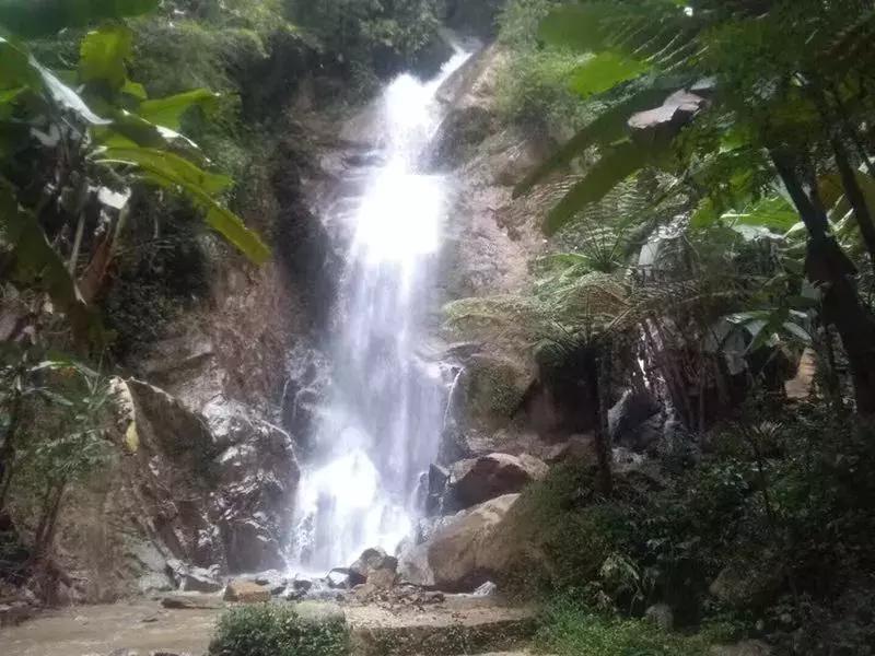 腾冲樱花谷景区,腾冲樱花谷