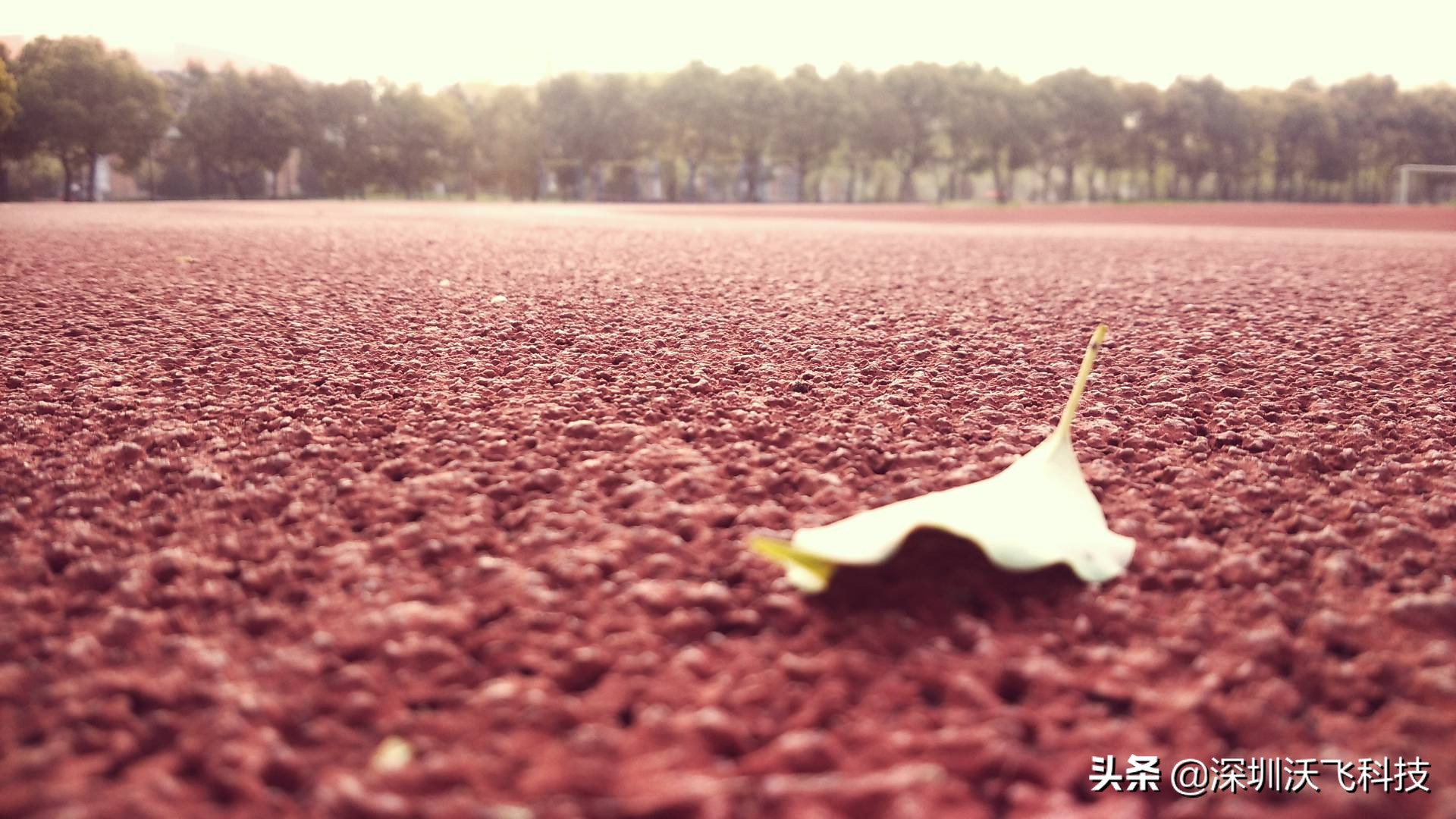 零基础学习气相色谱仪,气相色谱仪气路检查