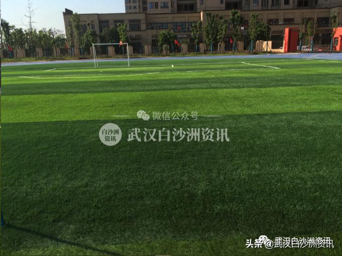 武汉武昌黄家湖小学,武汉黄家湖小学新消息