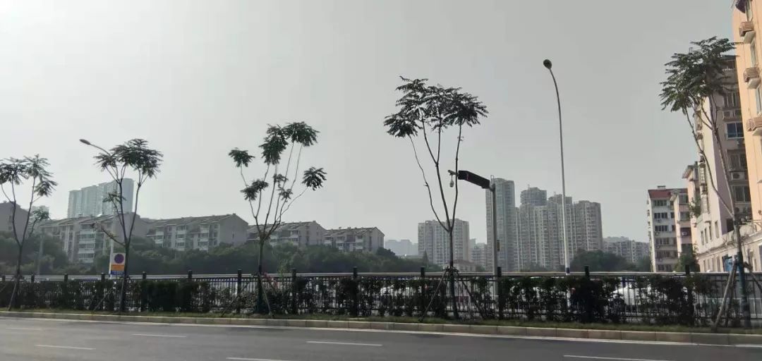 探地水产市场！中产貌平女孩招婿，青年才俊抢否？