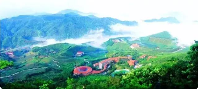 你回梅州了吗,还能回梅州吗