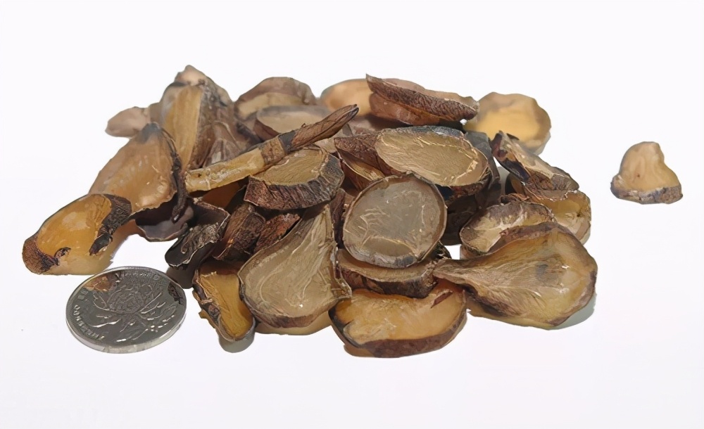 既是药中良将,又易毒发伤人,揭开它的双面药生